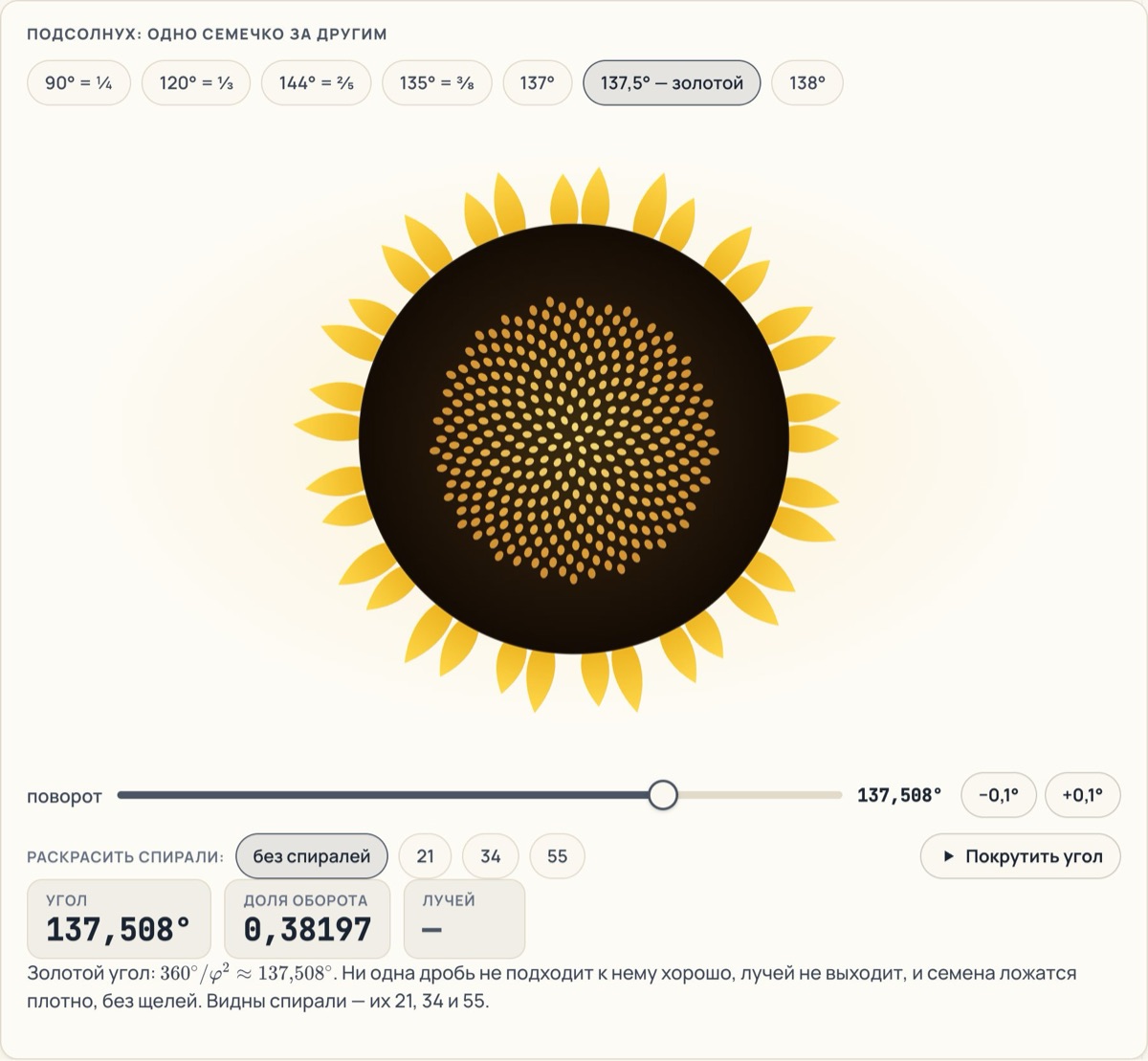 Виджет «Подсолнух»: семечки уложены по спирали под золотым углом 137,508°